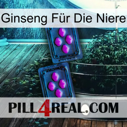 Ginseng Für Die Niere 03